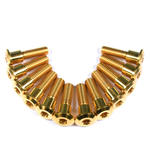 triumph daytona trophy titanium disc bolts gold