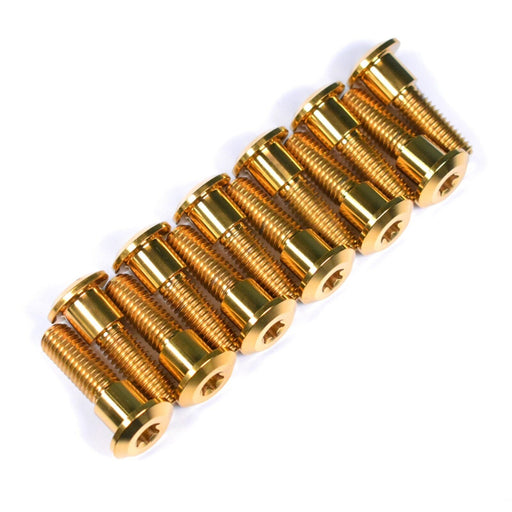 triumph daytona trophy titanium disc bolts gold