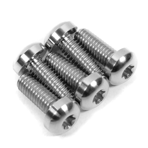 Harley Davidson Street Glide Titanium Front Brake Disc Rotor Bolts