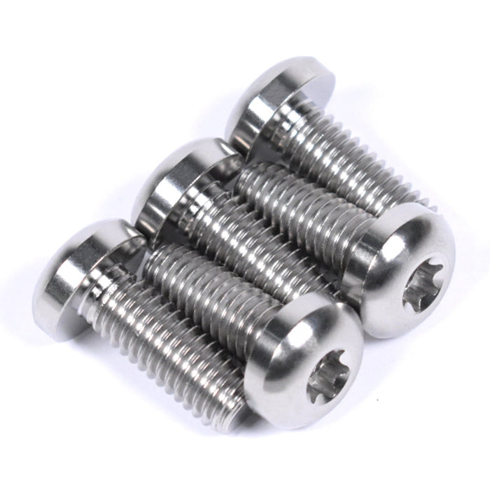 Harley Davidson Freewheeler FLRT Titanium Rear Brake Disc Rotor Bolts, 2015-2017