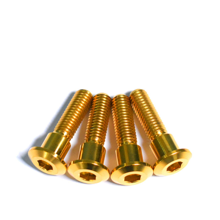 Rgv Rear Brake Disc Suzuki RGV250 Titanium Rear Disc Bolts | Gold | RSR Moto