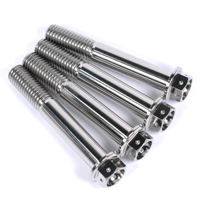 BMW S1000RR, HP4, S1000R Titanium Race Drilled Front Brake Caliper Bolts, 2010-2018