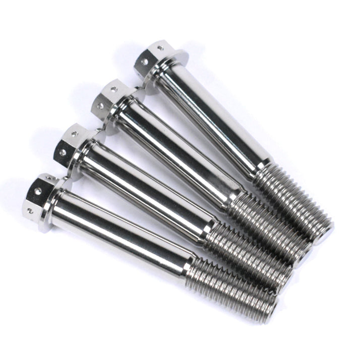 BMW S1000RR, HP4, S1000R Titanium Race Drilled Front Brake Caliper Bolts, 2010-2018
