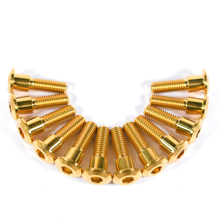 triumph daytona trophy titanium disc bolts gold