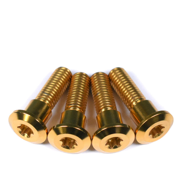 Triumph 675 Daytona / Daytona R Titanium Rear Brake Disc Rotor Bolts, 2006-2017, Gold 