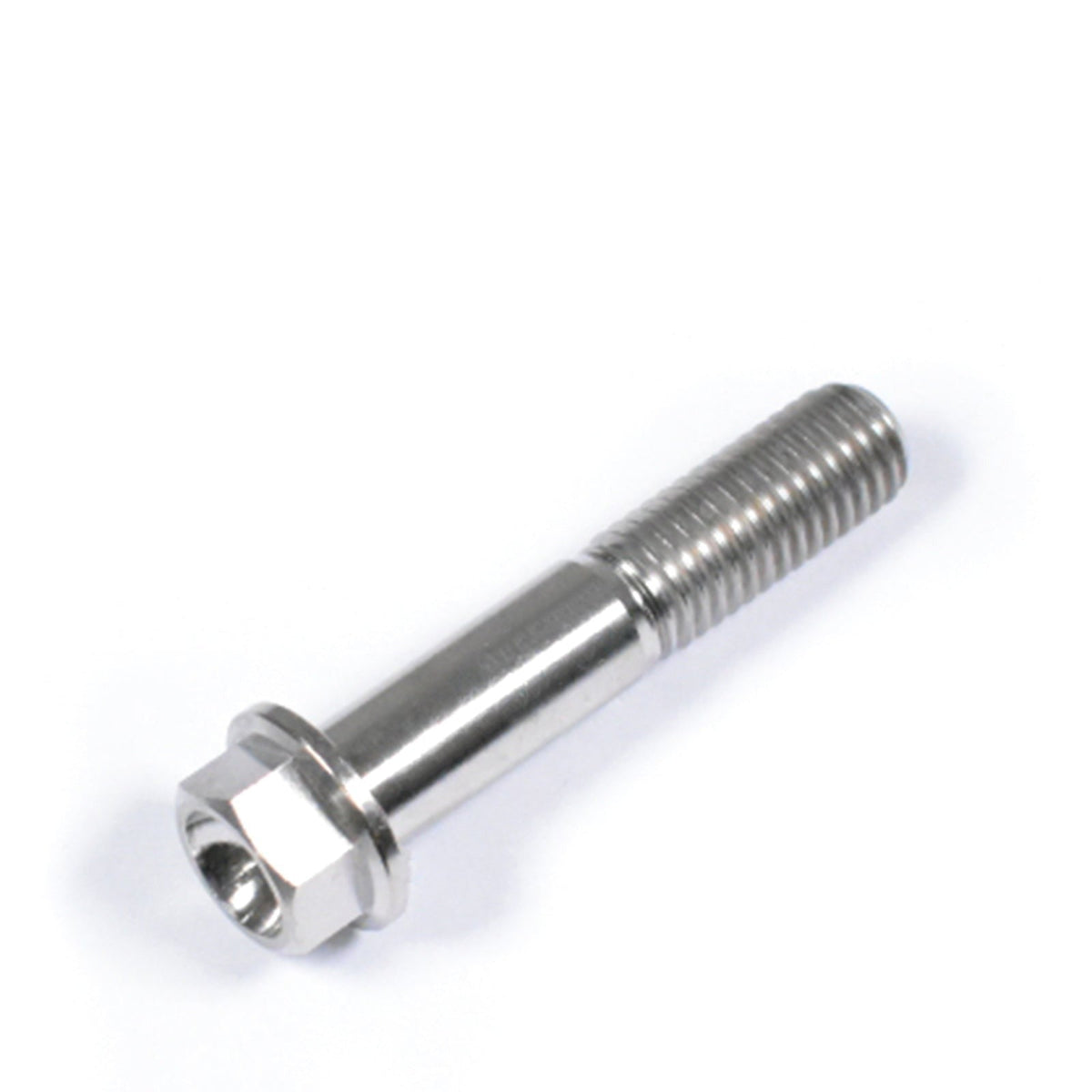 Titanium Hex Head Bolt M10 x 1.25mm x 30mm