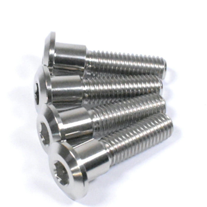 Rgv Rear Brake Disc Suzuki RGV250 Titanium Rear Brake Disc Bolts | 1987-1998 | RSR Moto